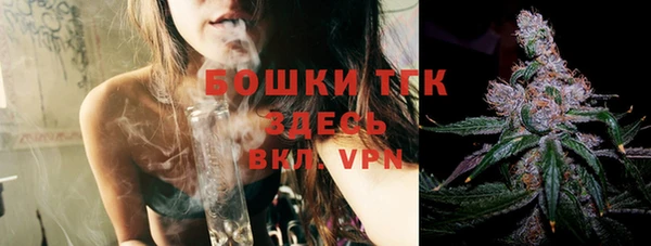 ПСИЛОЦИБИНОВЫЕ ГРИБЫ Баксан