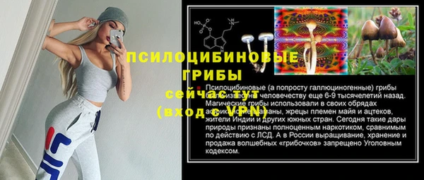 ПСИЛОЦИБИНОВЫЕ ГРИБЫ Баксан
