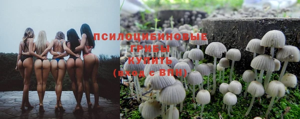 тгк Балахна