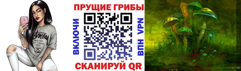Псилоцибиновые грибы MAGIC MUSHROOMS как найти закладки Северо-Курильск